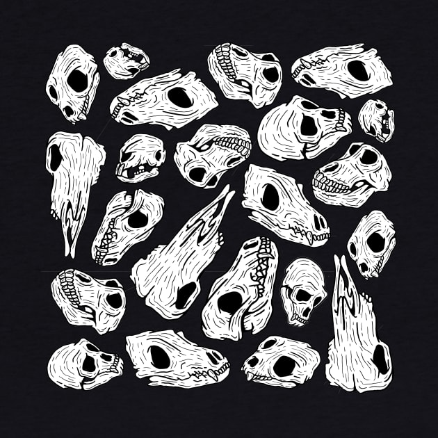 Animal Skulls by Woah_Jonny